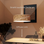 LeuchtNatur Hängeleuchte Discus Pendelleuchte